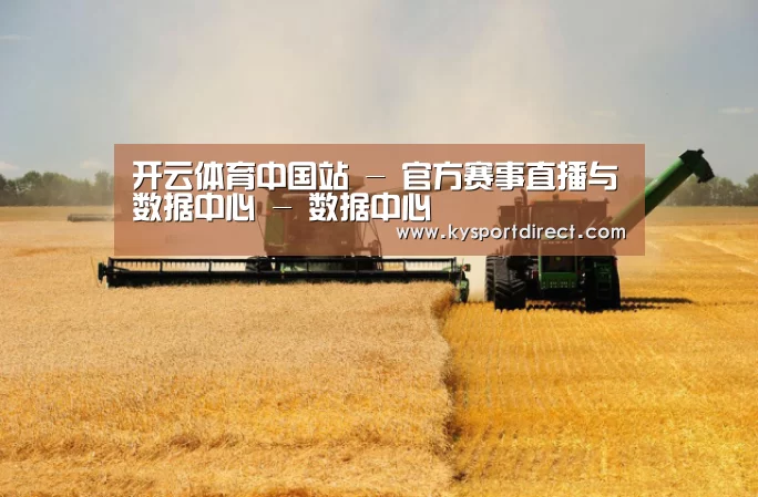 产品名称八(图1)