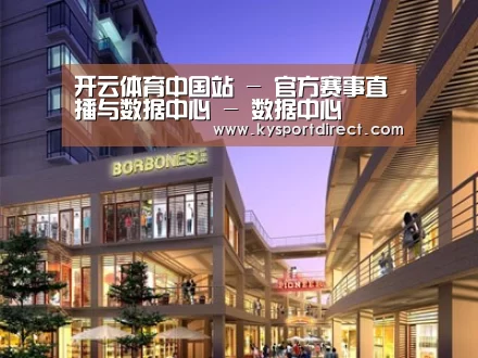 案例展示一