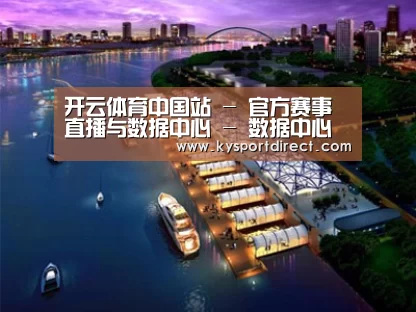 案例展示八