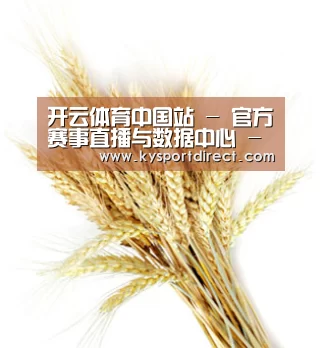 开云体育中国站 - 官方赛事直播与数据中心 - 数据中心