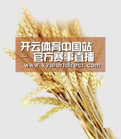 开云体育中国站 - 官方赛事直播与数据中心 - 数据中心