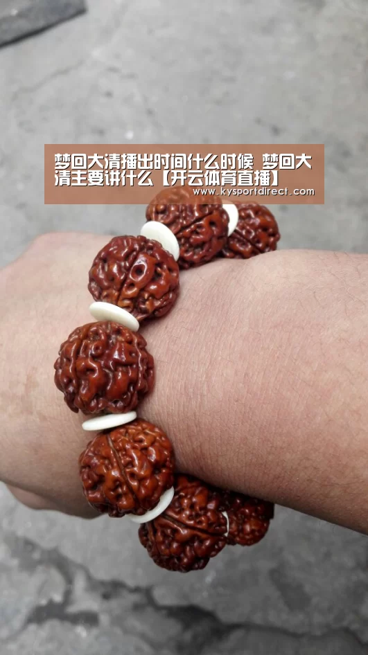 梦回大清播出时间什么时候 梦回大清主要讲什么【开云体育直播】(图2) 开云赛事