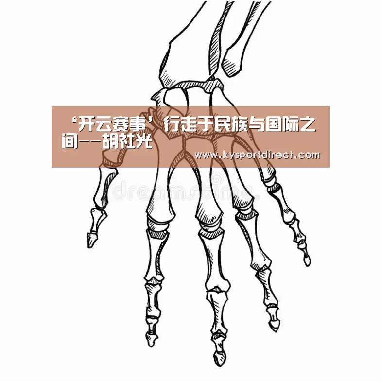‘开云赛事’行走于民族与国际之间--胡社光(图1) 开云体育直播