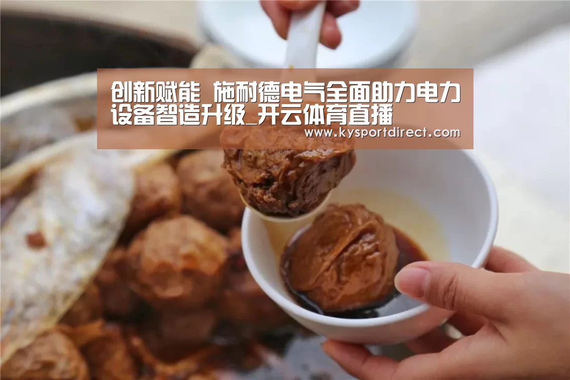 创新赋能 施耐德电气全面助力电力设备智造升级_开云体育直播(图2) 开云热门赛事
