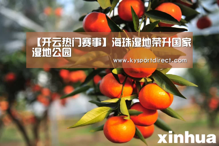 开云体育直播