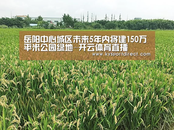 岳阳中心城区未来5年内将建150万平米公园绿地-开云体育直播(图3) 开云热门赛事