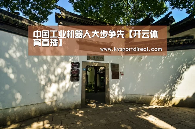中国工业机器人大步争先【开云体育直播】(图1) 开云热门赛事