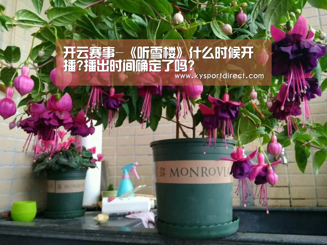 开云赛事-《听雪楼》什么时候开播?播出时间确定了吗?(图2) 开云赛事