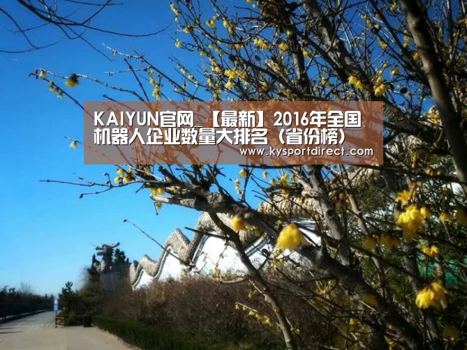 KAIYUN官网_【最新】2016年全国机器人企业数量大排名(省份榜)(图4) 开云热门赛事