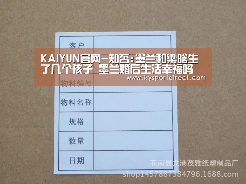 开云体育直播