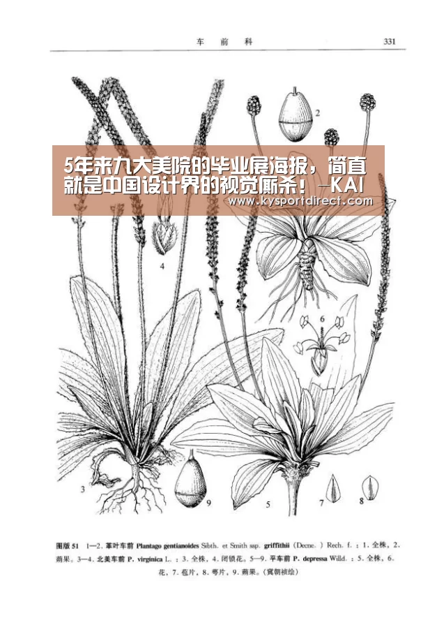 5年来九大美院的毕业展海报,简直就是中国设计界的视觉厮杀!-KAIYUN官网(图3) 开云体育直播