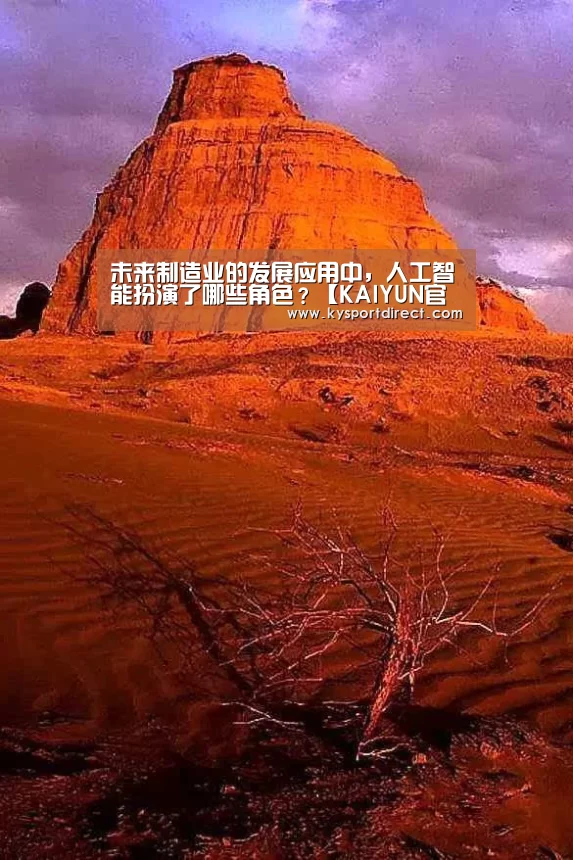 开云赛事