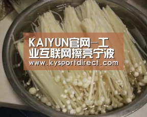 开云体育直播